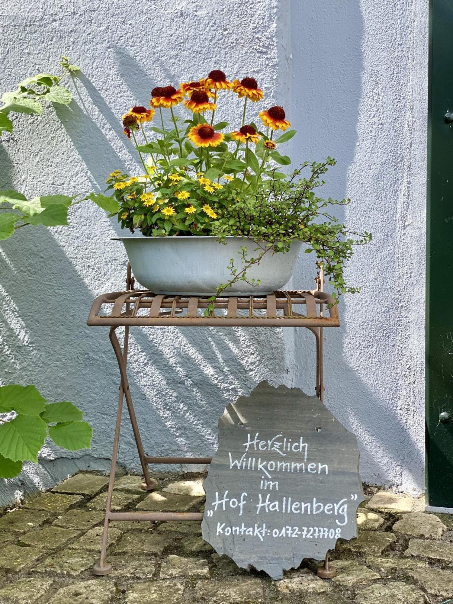 Hof Hallenberg Luaran gambar